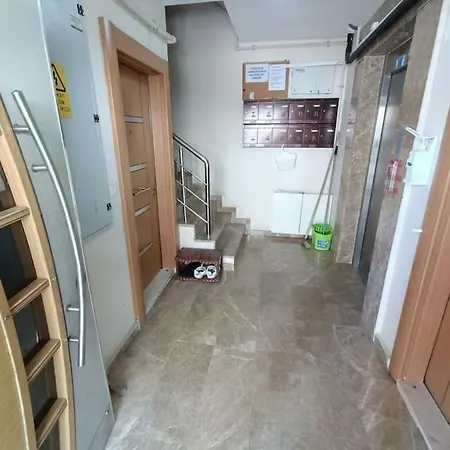 Premium With Furniture